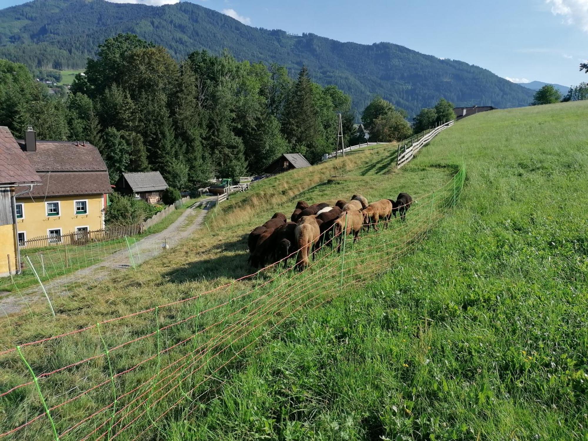 Ferienwohnung Weppermuehle Niederdorf  Esterno foto